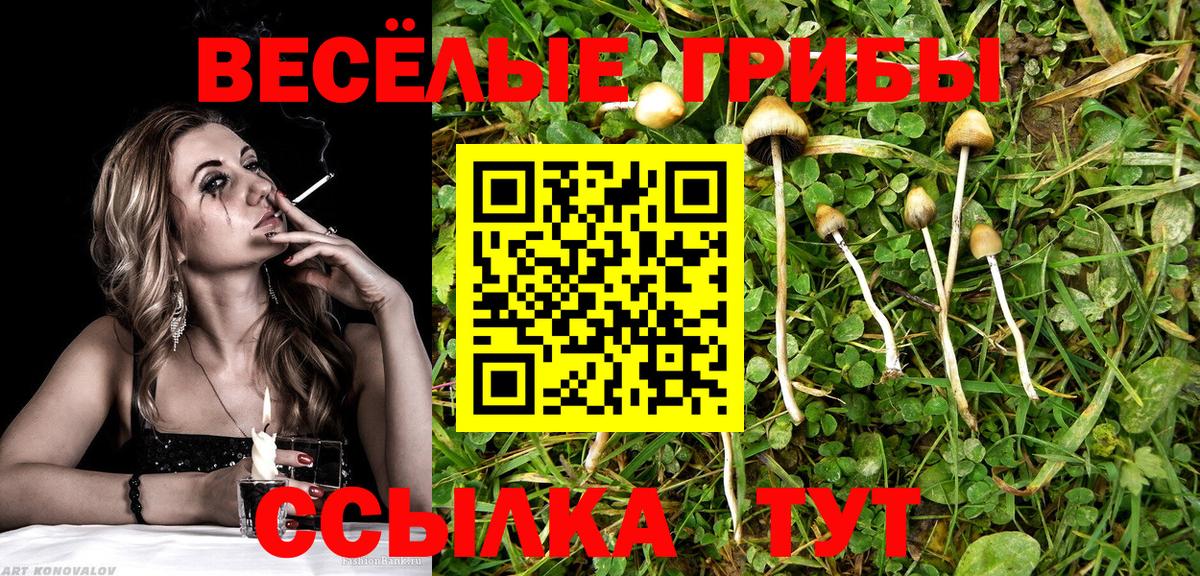 Галлюциногенные грибы GOLDEN TEACHER  Вход с VPN  Галлюциногенные грибы Magic Shrooms  Пенза 